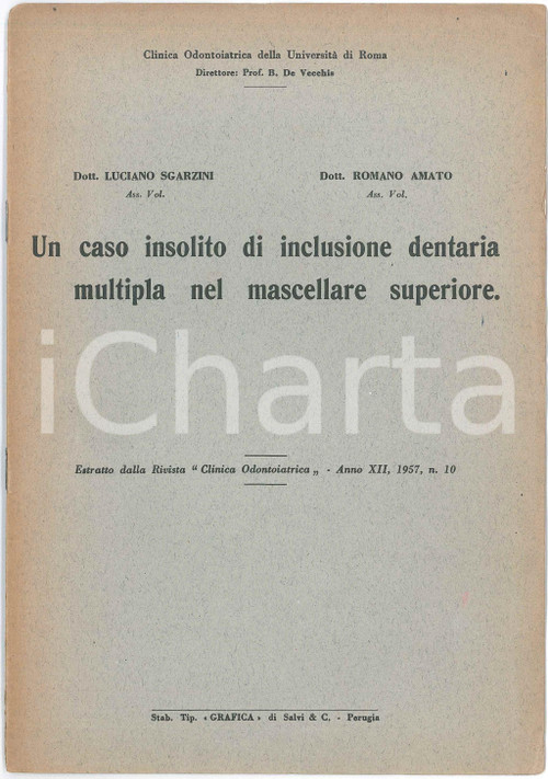 1957 Luciano SGARZINI Romano AMATO Inclusione dentaria multipla - Estratto Pubblicazione d'epoca, illustrata. "Un caso insolito di inclusione dentaria multipla nel mascellare superiore"Estratto dalla rivista Clinica Odontoiatrica - Anno XII, 1957, n.10TIPOGRAFIA: Grafica - PerugiaPAGINE: 8 FAIR/discreto Lievi strappi al margine sinistro Formato: 17x24 cm originale e autentica 1