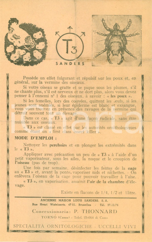 Materiale pubblicitario d’epoca 1940 ca BRUXELLES Ancienne Maison Louis SANDERS Antipulci T3 DANNEGGIATO 1