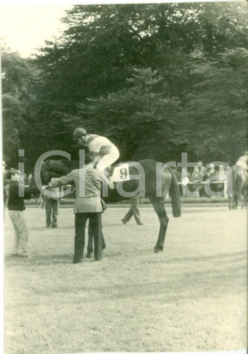 1963 MILANO SAN SIRO Ippodromo del trotto Cavallo FORSYTHIA con fantino MUSTO