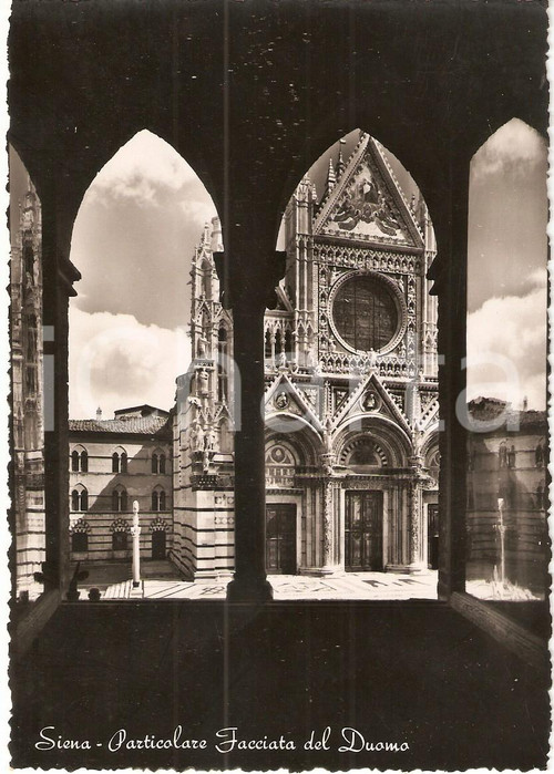 1950 ca SIENA Cattedrale SANTA MARIA ASSUNTA scorcio facciata *Cartolina FG NV