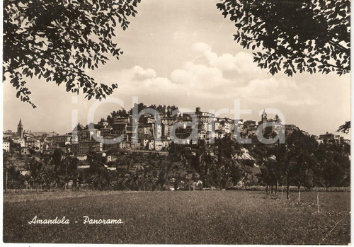 1950 ca AMANDOLA (FM) Veduta panoramica del paese *Cartolina postale FG NV