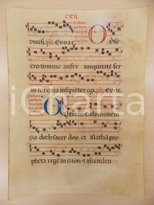 1600 ca ANTIFONARIO ROMANO Pergamena manoscritta rosso nero blu Salmo OBSECRO