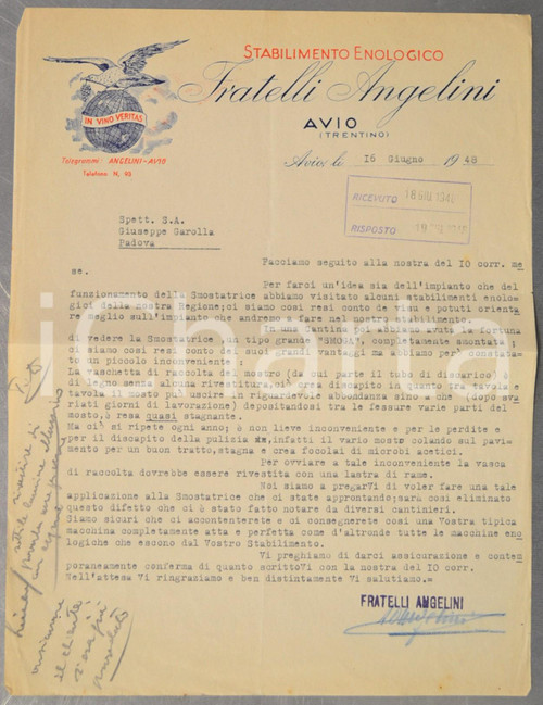 1948 AVIO (TN) Stabilimento enologico Fratelli ANGELINI *Lettera commerciale