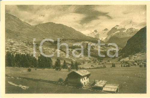 1935 ca AYAS (AO) Panorama verso CHAMPOLUC verso la Val d'Ayas Cartolina FP NV