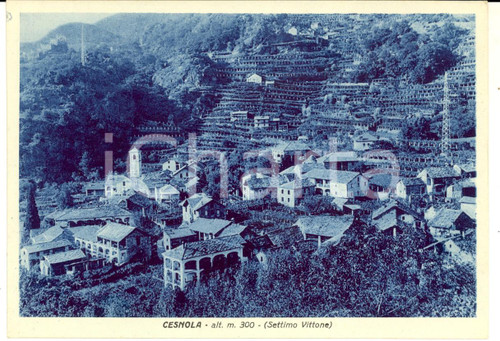 1940 SETTIMO VITTONE (TO) Panorama frazione CESNOLA *Cartolina postale FG NV