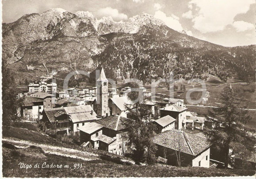 1960 VIGO DI CADORE (BL) Panorama del paese *Cartolina FG VG