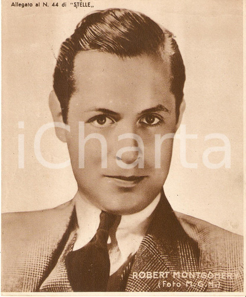 1940 ca CINEMA Ritratto Robert MONTGOMERY *Allegato al n. 44 di STELLE 15x18 cm CONDIZIONI: FAIR  originale e autentica 1