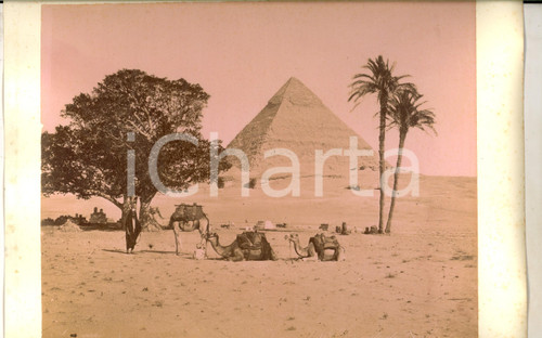 1890 ca EGYPTE Pyramide de Khuffra et carovane *Photo Adolphe ZANGAKI 34x22 cm