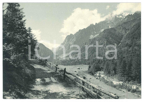 1950 ca COURMAYEUR (AO) Panorama della Val Ferret - Cartolina FG NV Cartolina d'epoca non viaggiata GOOD/buono  Formato: 15x10 cm originale e autentica 1