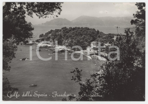 1954 LA SPEZIA Borgo di Fiascherino nel Golfo della Spezia - Cartolina FG VG