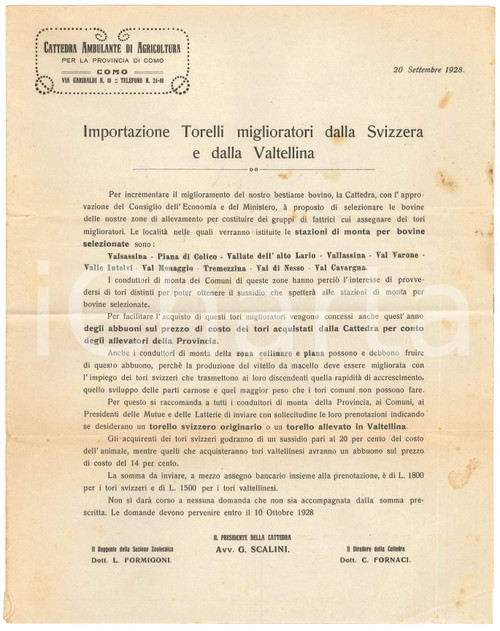 1930 COMO Cattedra Agricoltura *Torelli miglioratori dalla Svizzera e Valtellina Lettera circolare a stampa, a cura della Cattedra Ambulante di Agricoltura per la Provincia di Como, vaiggiata.PAGINE: 4 facciate (1 stampata) POOR/danneggiato piegature d'epoca; piccoli strappi marginali; macchir Formato: 22x28 cm originale e autentica 1