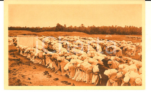 1910 ca BISKRA (ALGERIA) La grande preghiera musulmana *Cartolina VINTAGE