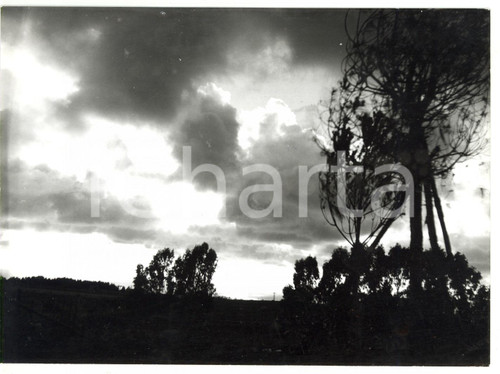 1976 CIVITAVECCHIA (RM) Terme Taurine - Tempesta in arrivo *Foto ARTISTICA 