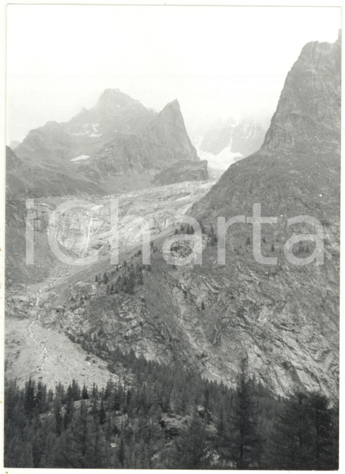 1976 VALLE D'AOSTA - MONTE BIANCO Ghiacciaio della Brenva - Veduta panoramica
