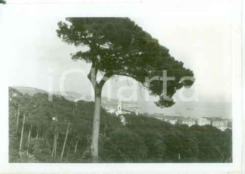 1931 GENOVA PEGLI Veduta di un paesaggio marittimo *Fotografia ARTISTICA