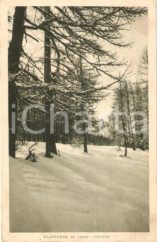 Cartolina originale da collezione 1930 ca CLAVIERES (TO) Scorcio della Pineta innevata *Cartolina FP NV 1