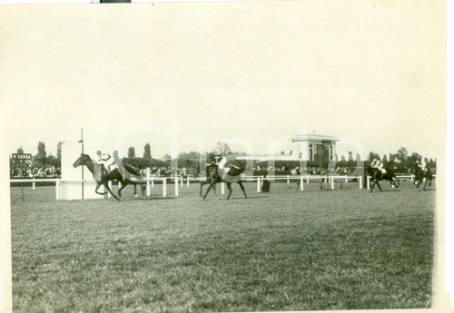 Fotografia d epoca originale 1936 MILANO SAN SIRO Ippica Cavallo ELITE vince il Premio AMBROSIANO Fotografia 1