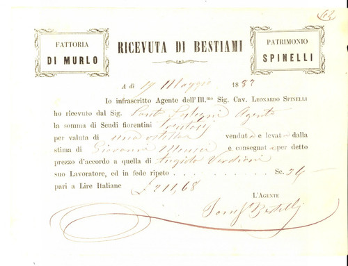 Documento originale, autentico 1887 SAN CASCIANO VAL DI PESA FI VILLA di MURLO  Bestiami Patrimonio SPINELLI 1
