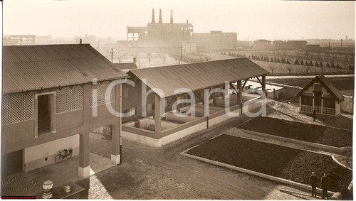 Fotografia d epoca originale 1930 ca CIVIDALE DEL FRIULI UD Allevamento di maiali a RUBIGNACCO Fotografia 1