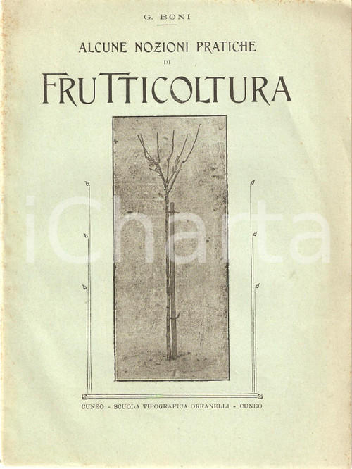 Libro, pubblicazione d epoca 1918 Giglio BONI NOZIONI DI FRUTTICOLTURA Inserto AGRICOLTURA SUBALPINA 1 1