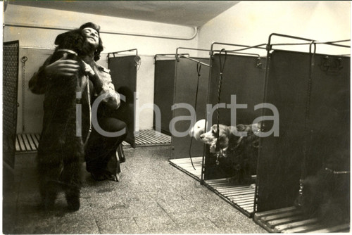 1970 ca COSTUME ITALIA Augusto MARTELLI con il suo cane (1) - Foto 30x20 cm
