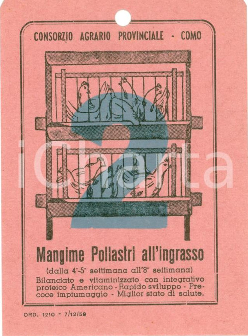 Materiale pubblicitario d’epoca 1959 COMO Consorzio Agrario Provinciale Mangime pollastri Etichetta ILLUSTRATA 1