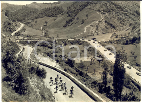 1955 ca CICLISMO GIRO D'ITALIA Corridori sulle rampe del PINOCCHIO *Foto 18x13  Fotografia d'epoca con didascalia coeva al verso.   CONDIZIONI: G (ma lieve sovraimpressione circolare)FORMATO: 18x13 cm     originale e autentica 1