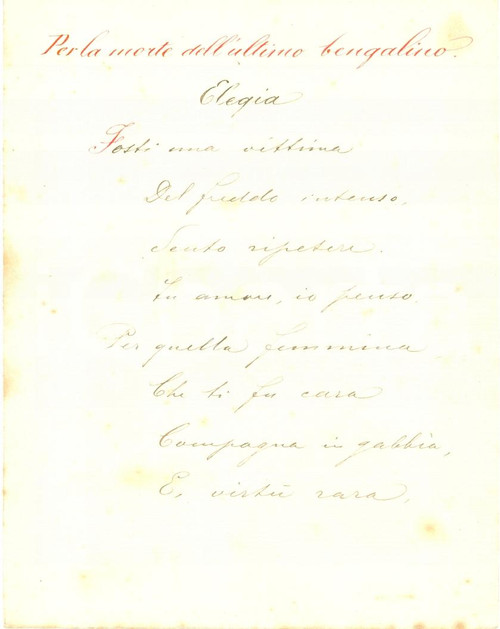 Autografo originale 1880 ca MILANO Annibale GHISALBERTI Morte ultimo bengalino Poesia INEDITA 1