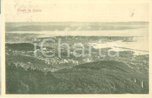 1916 TRIESTE Panorama preso da OPICINA *Cartolina postale FP VG
