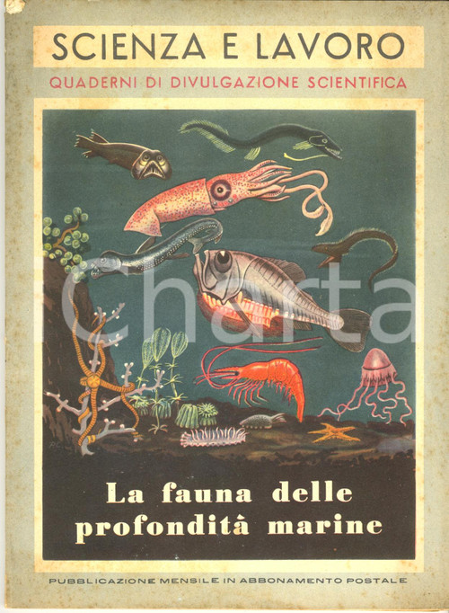 Giornale, rivista storica 1954 Enrico TORTONESE La fauna delle profonditÃ  marine di SCIENZA E LAVORO 1