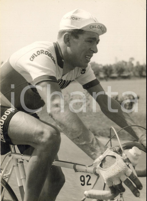 1957 CICLISMO GIRO D'ITALIA Tappa MILANO-VERONA - Aldo MOSER *Foto 13x18 cm Fotografia d'epoca, con didascalia coeva. CONDIZIONI: G FORMATO: 13x18 cm    originale e autentica 1