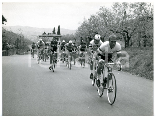 1967 CICLISMO GIRO D'ITALIA Firenze-Chianciano Terme - Rudi ALTIG in testa