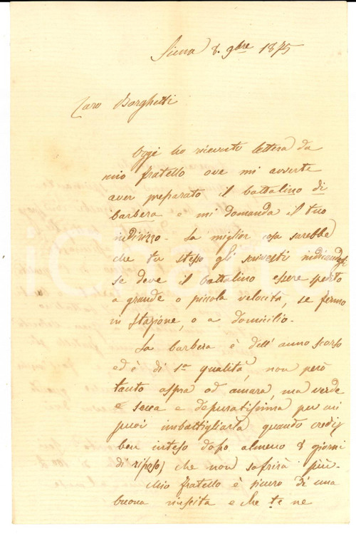 Manoscritto, lettera originale 1875 SIENA Famiglia GAMBA prepara bottalino di Barbera di qualitÃ  *Lettera 1