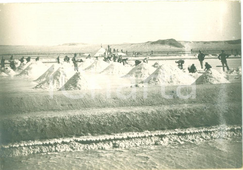 Fotografia d epoca originale 1935 ca HAFUN / DANTE SOMALIA Indigeni alla raccolta del sale Fotografia 1