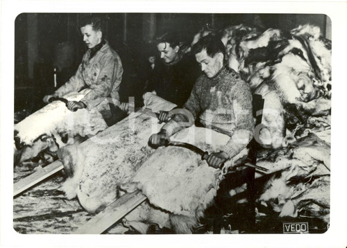 Fotografia d epoca originale 1940 FINLANDIA WW2 Operai preparano pellicce per soldati FOTOGRAFIA 1