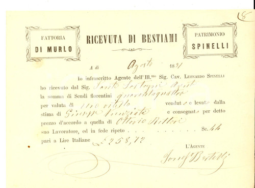 Documento originale, autentico 1881 SAN CASCIANO VAL DI PESA FI VILLA di MURLO  Bestiami Patrimonio SPINELLI 1