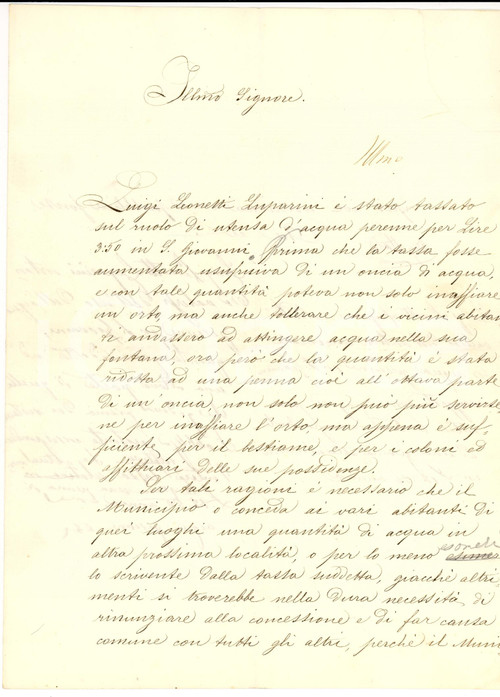 Manoscritto, lettera originale 1800 SPOLETO PG Luigi LEONETTI senza acqua per bestiame 1
