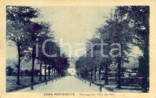 Cartolina originale da collezione 1932 CAIRO MONTENOTTE (SV) Viale alberato nel parco di Villa DE MARI *FP VG 1