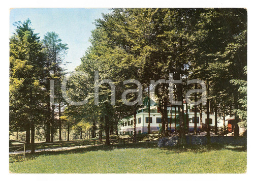 Cartolina originale da collezione 1965 ca CERANESI (GE) Grand Hotel PRAGLIA - Il giardino *Cartolina VINTAGE FG NV 1