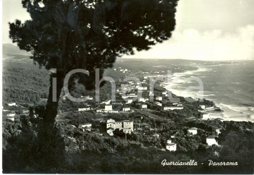 Cartolina originale da collezione 1959 LIVORNO Veduta panoramica della frazione QUERCIANELLA *Cartolina FG VG 1