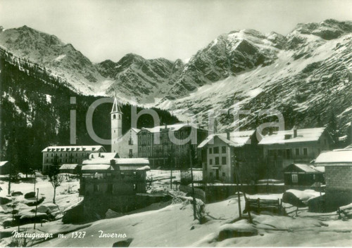 Cartolina originale da collezione 1955 ca MACUGNAGA (VB) Panorama invernale del paese *Cartolina FG NV 1