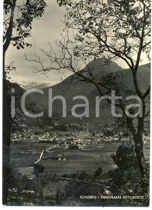 Cartolina originale da collezione 1950 SONDRIO Panorama del paese dall'alto *Cartolina FG VG 1