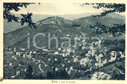 Cartolina originale da collezione 1941 CAMOGLI GE Panorama aereo della frazione RUTA FP 1