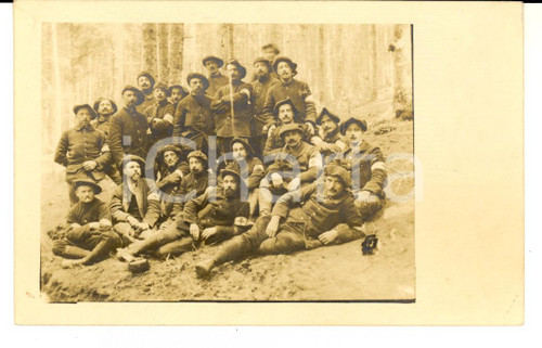 1915 WW1 FRANCE Officiers sanitaires dans un bois *Photo carte postale