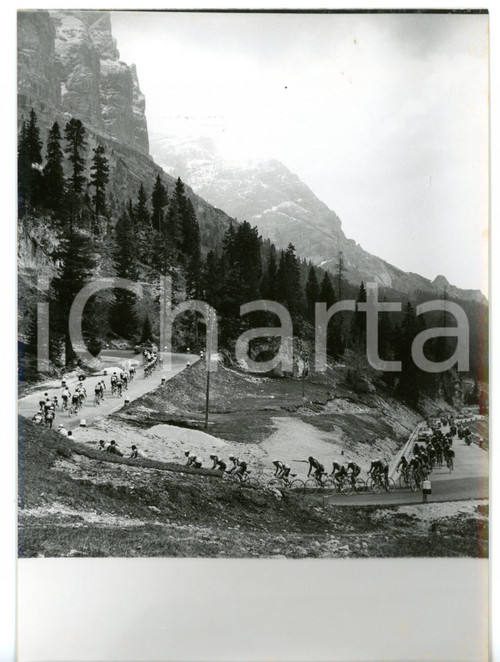 1958 CICLISMO - PASSO PORDOI Giro d'Italia 19^ tappa - Il gruppo tra i tornanti