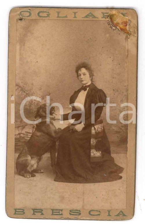 1897 BRESCIA Ritratto di nobildonna con il cane *Foto Giona OGLIARI CDV RARA (2) Fotografia d'epoca, su cartoncino rigido, con data manoscritta al verso.FOTOGRAFO: Giona Ogliari - Brescia, via Didietro Vescovado  POOR/danneggiato foro all'angolo superiore sinistro e residuo cartaceo all'angolo superiore destro Formato: 6x10 cm originale e autentica 1