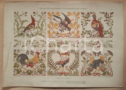 1910 ca G. STURM Uccelli con ornamentazione floreale *MODELLI DECORATIVI" Illustrazione estratta da "Modelli decorativi", ed. Hoffmann. POOR/danneggiato traccia di umidità laterale; lievi gualciture Formato: 35x25 cm originale e autentica 1