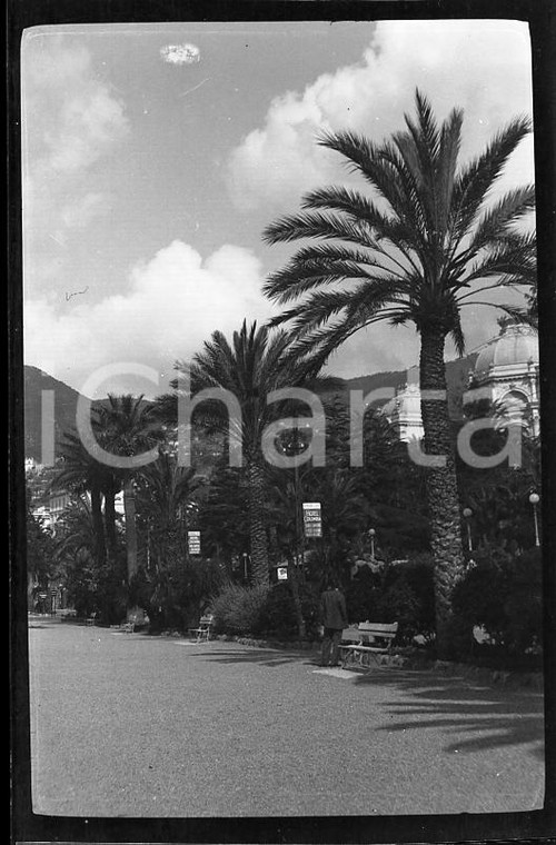 1930 OSPEDALETTI Lungomare con le palme (1) NEGATIVO ORIGINALE  Negativo originale in bianco e nero (su pellicola), in formato cm 6 x 4 CONDIZIONI: FAIR ICharta mette in vendita, sul negozio eBay e in esclusiva sul sito "icharta" il proprio archivio composto da numerose diapositive e negativi fotografici d'epoca, tutti originali e autentici, che attraversano la storia del costume italiano tra gli la fine degli anni Sessanta e Novanta.Si tratta di uno sguardo inedito sull'attualità, la politica, la vita quotidiana, il gossip e la cultura, che fotografa il cambiamento della nazione in quest'ultimo scorcio del XX secolo. Un'occasione unica per il mercato del collezionismo, che vede finalmente disponibile un archivio eccezionale per vastità, tematiche e condizioni, in un settore (il negativo fotografico e la diapositiva) di assoluta novità e dalle interessanti prospettive di investimento. FAIR/discreto   originale e autentica 1