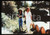Fotografia d epoca originale 35mm vintage slide1998 Film RACCONTO D AUTUNNO  Béatrice ROMAND in una scena 1