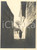 1925 ca ISOLA DEI PESCATORI Donna in un vicolo - Foto ARTISTICA 8x11 cm